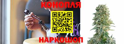 гашик Краснодар