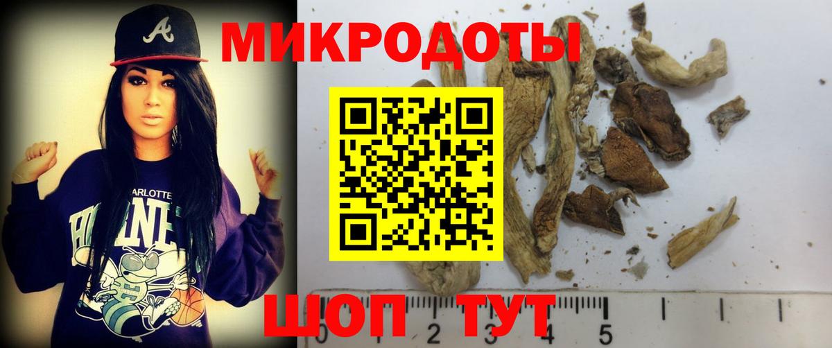 Чапаевск  Псилоцибиновые грибы мухоморы  Вход с VPN 