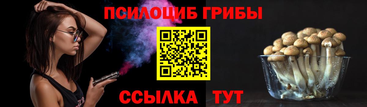 Галлюциногенные грибы Psilocybine cubensis Чапаевск